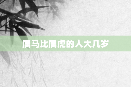 属马比属虎的人大几岁