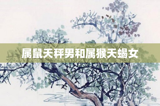 属鼠天秤男和属猴天蝎女