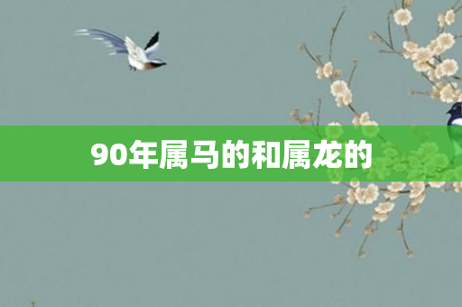 90年属马的和属龙的