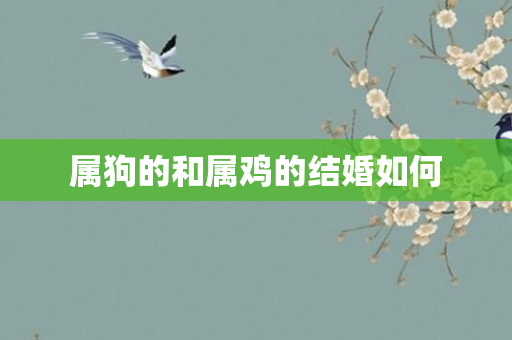 属狗的和属鸡的结婚如何