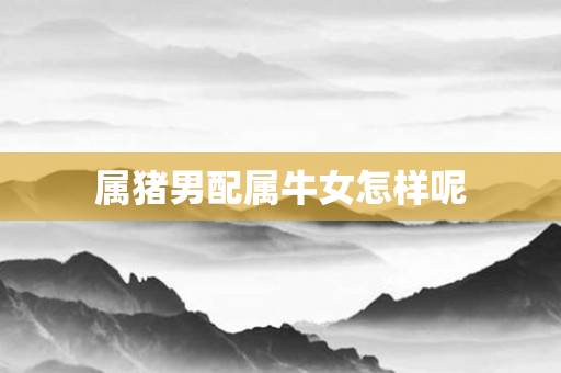 属猪男配属牛女怎样呢
