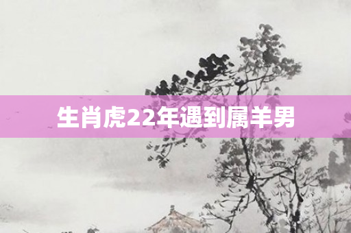 生肖虎22年遇到属羊男
