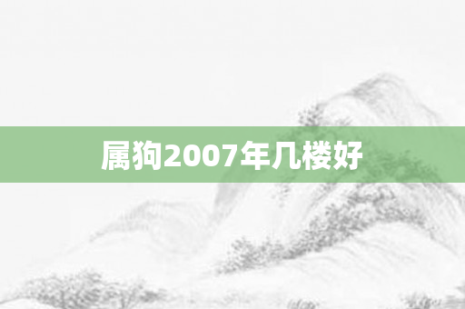 属狗2007年几楼好