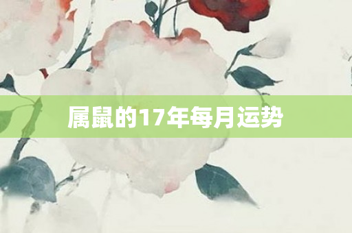 属鼠的17年每月运势