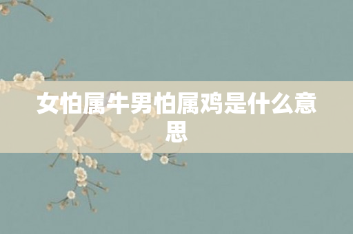 女怕属牛男怕属鸡是什么意思