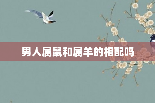 男人属鼠和属羊的相配吗