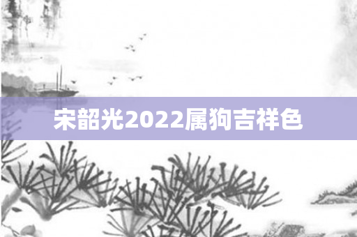 宋韶光2022属狗吉祥色