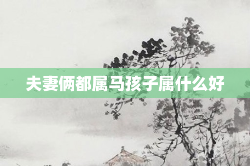 夫妻俩都属马孩子属什么好