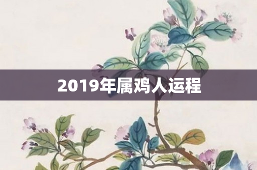 2019年属鸡人运程