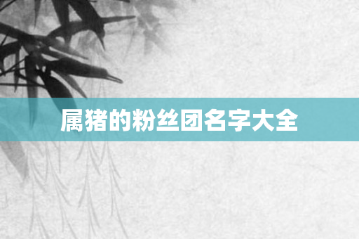 属猪的粉丝团名字大全