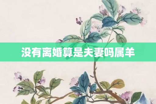 没有离婚算是夫妻吗属羊
