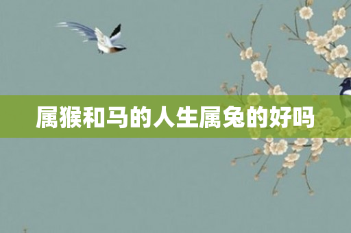 属猴和马的人生属兔的好吗