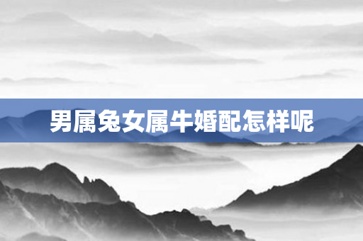 男属兔女属牛婚配怎样呢