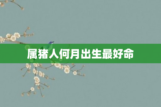 属猪人何月出生更好命