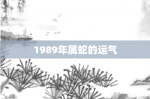 1989年属蛇的运气