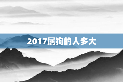 2017属狗的人多大