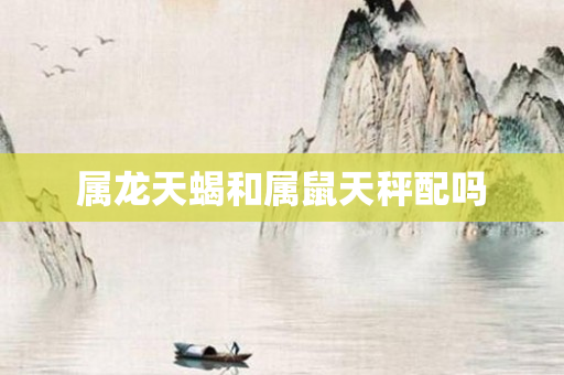 属龙天蝎和属鼠天秤配吗