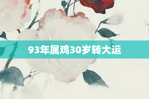 93年属鸡30岁转大运