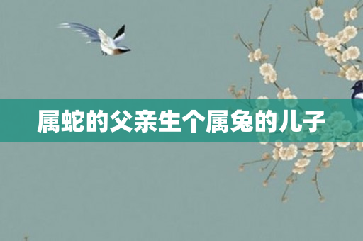 属蛇的父亲生个属兔的儿子
