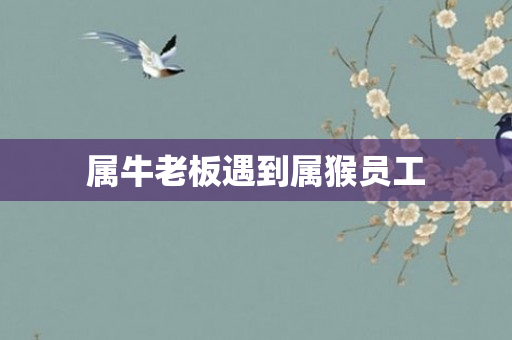 属牛老板遇到属猴员工