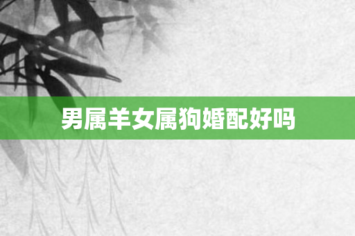 男属羊女属狗婚配好吗