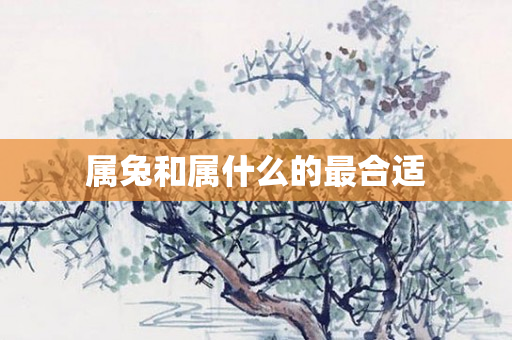 属兔和属什么的最合适