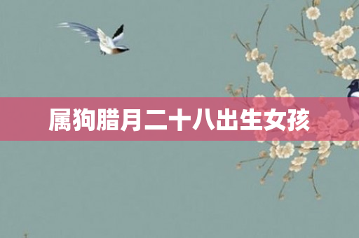 属狗腊月二十八出生女孩