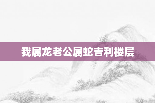 我属龙老公属蛇吉利楼层