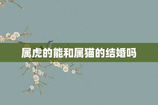 属虎的能和属猫的结婚吗