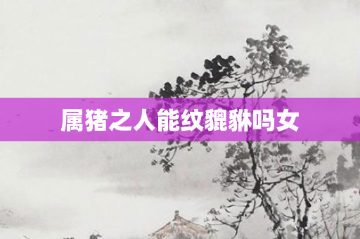 属猪之人能纹貔貅吗女