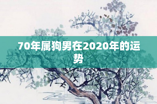70年属狗男在2020年的运势
