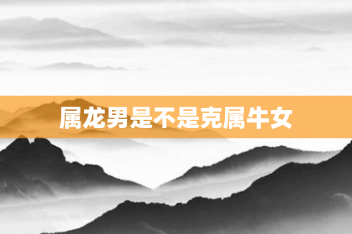 属龙男是不是克属牛女