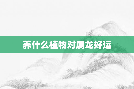 养什么植物对属龙好运