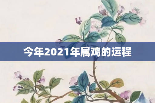 今年2021年属鸡的运程