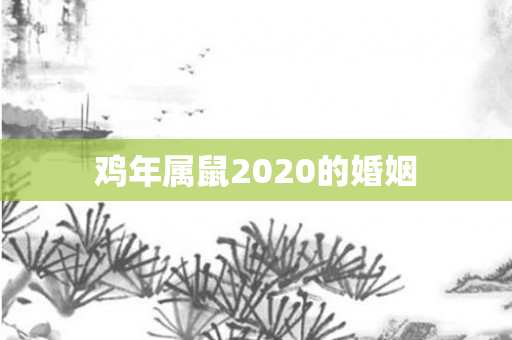 鸡年属鼠2020的婚姻