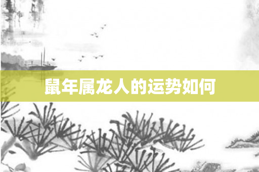 鼠年属龙人的运势如何