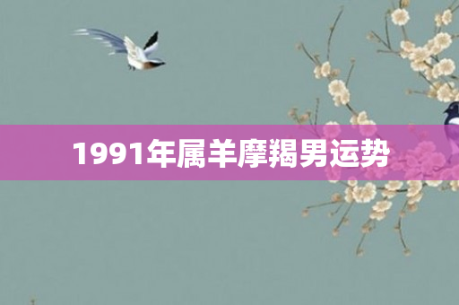 1991年属羊摩羯男运势
