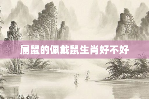 属鼠的佩戴鼠生肖好不好