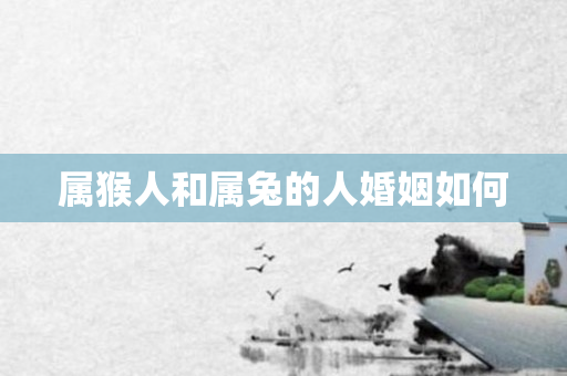 属猴人和属兔的人婚姻如何