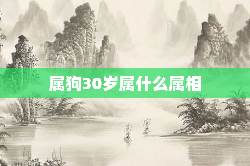 属狗30岁属什么属相