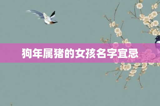狗年属猪的女孩名字宜忌