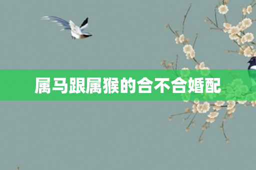 属马跟属猴的合不合婚配