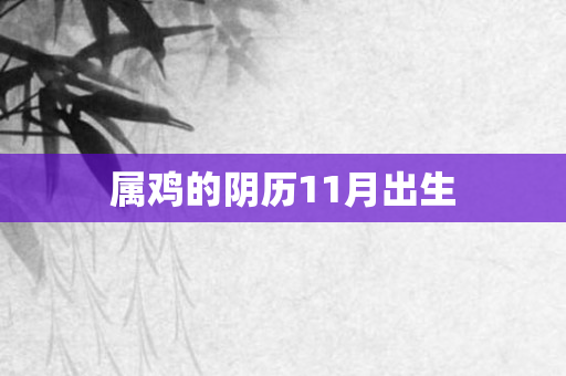 属鸡的阴历11月出生