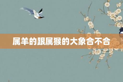 属羊的跟属猴的大象合不合