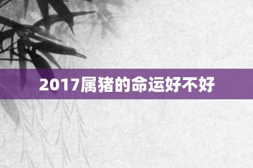 2017属猪的命运好不好