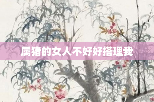 属猪的女人不好好搭理我
