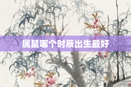 属鼠哪个时辰出生更好