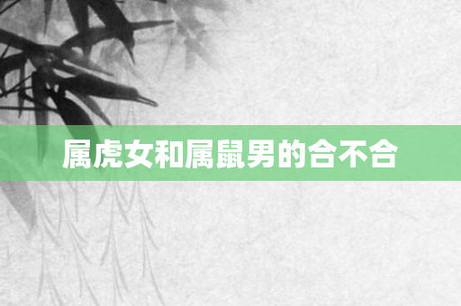 属虎女和属鼠男的合不合