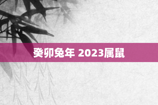 癸卯兔年 2023属鼠