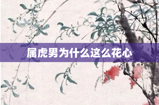 属虎男为什么这么花心